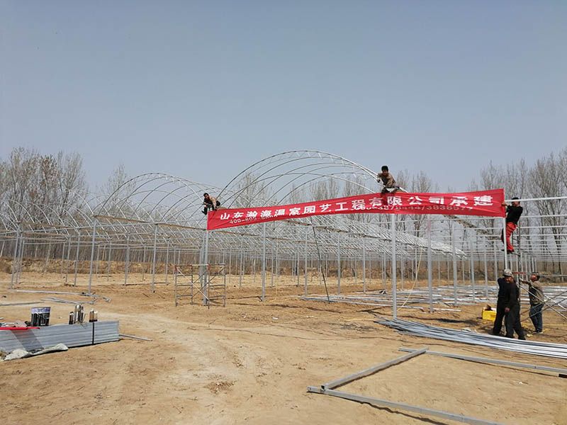 連棟雙拱雙膜溫室